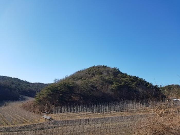 법원경매 2024타경707 사진5 | 청송군 현서면 화목리 임야 경매