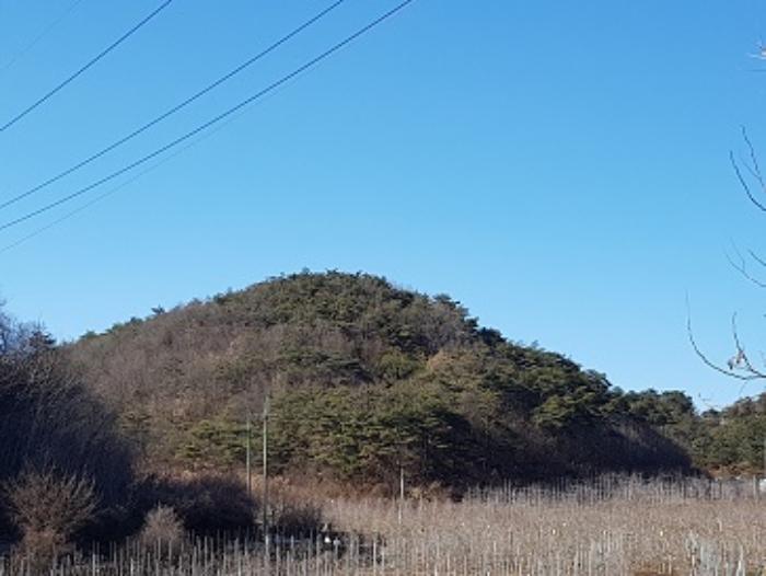 법원경매 2024타경707 사진7 | 청송군 현서면 화목리 임야 경매