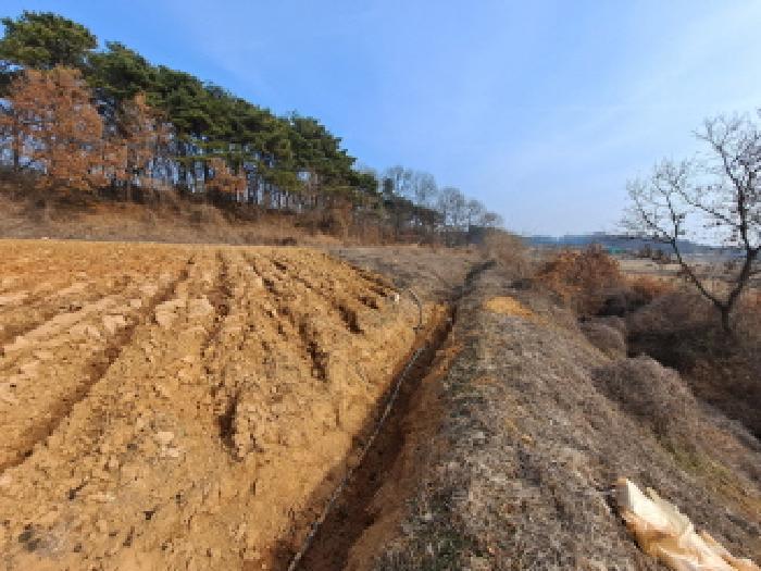 법원경매 2025타경56 사진12 | 당진시 송악읍 중흥리 191-5 답 경매