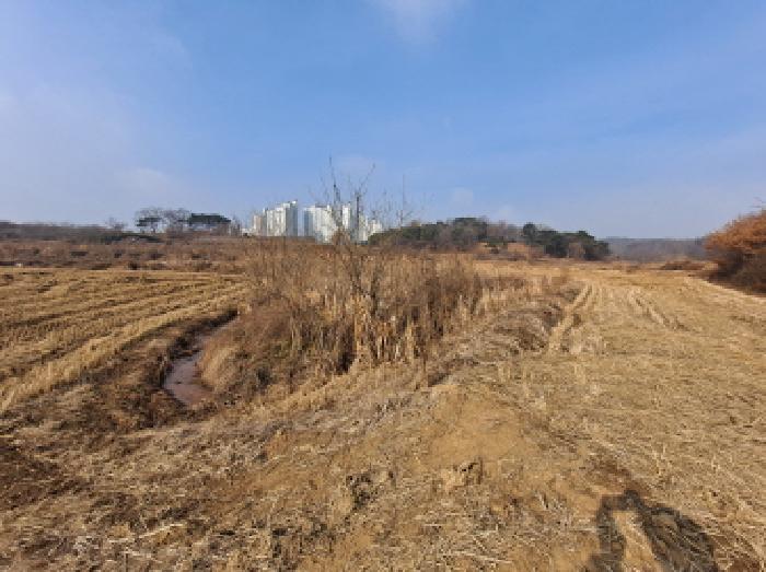 법원경매 2025타경56 사진3 | 당진시 송악읍 중흥리 191-5 답 경매