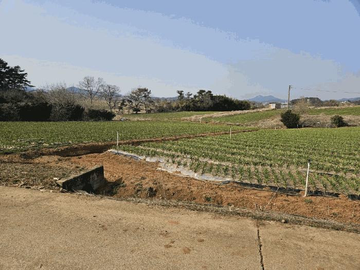 2025타경51094 법원경매 사진2 | 충남 서산시 임야 경매
