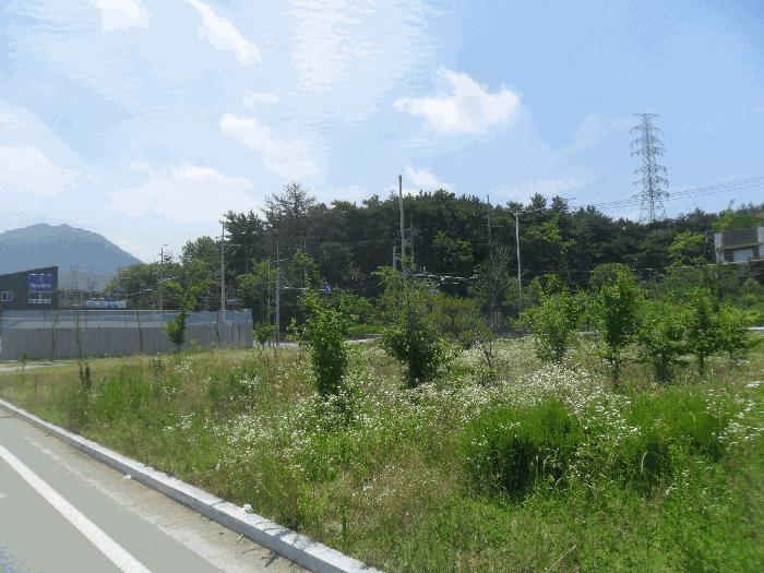 2025타경516 법원경매 사진2 | 창원 의창구 대지 경매