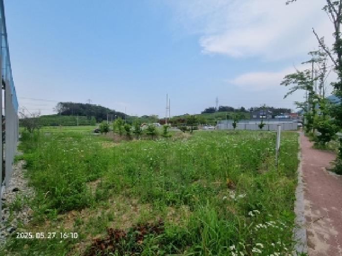 2025타경516 법원경매 사진4 | 창원 의창구 대지 경매