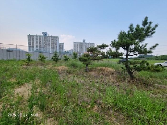 2025타경516 법원경매 사진5 | 창원 의창구 대지 경매