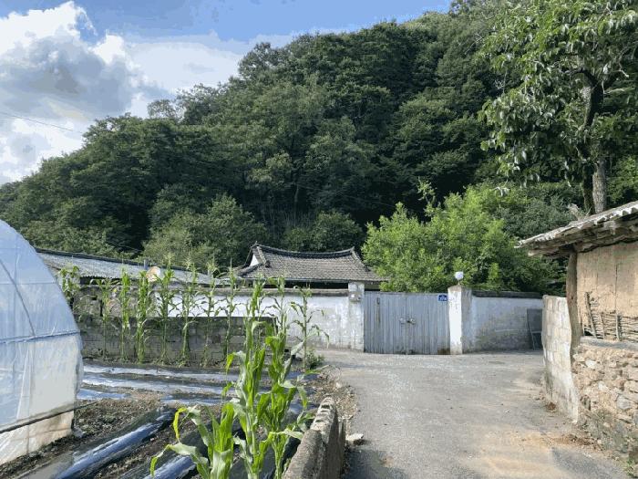 2025타경33163 법원경매 사진7 | 전남 담양군 대지 경매