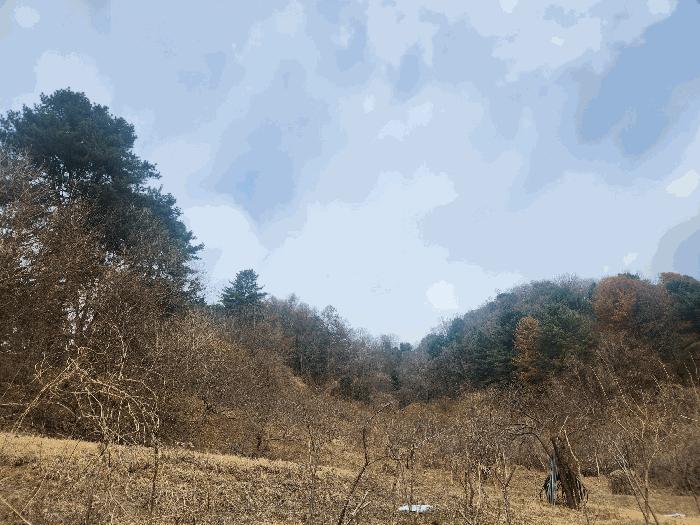 법원경매 2025타경71424 사진4 | 가평군 가평읍 산유리 임야 경매