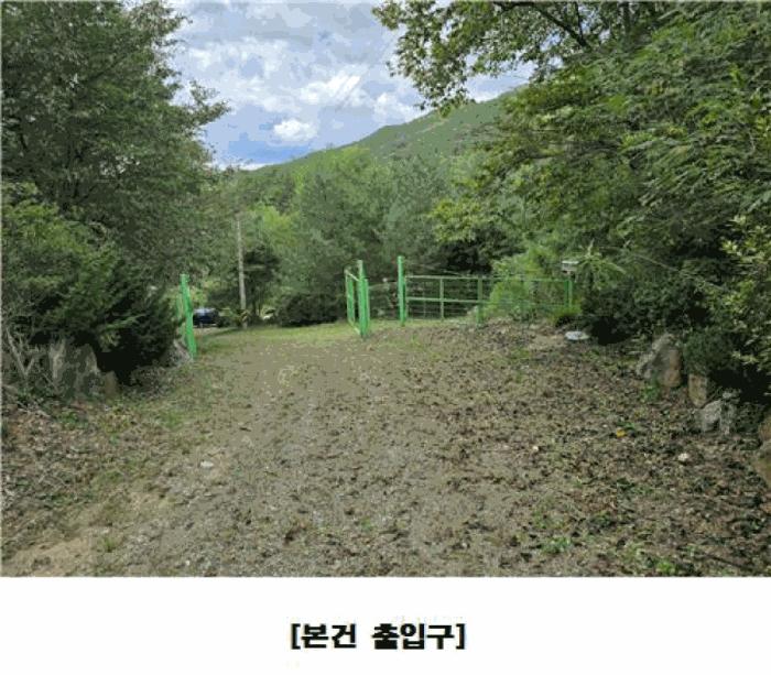 2025타경3841 법원경매 사진2 | 대전 동구 상가 경매