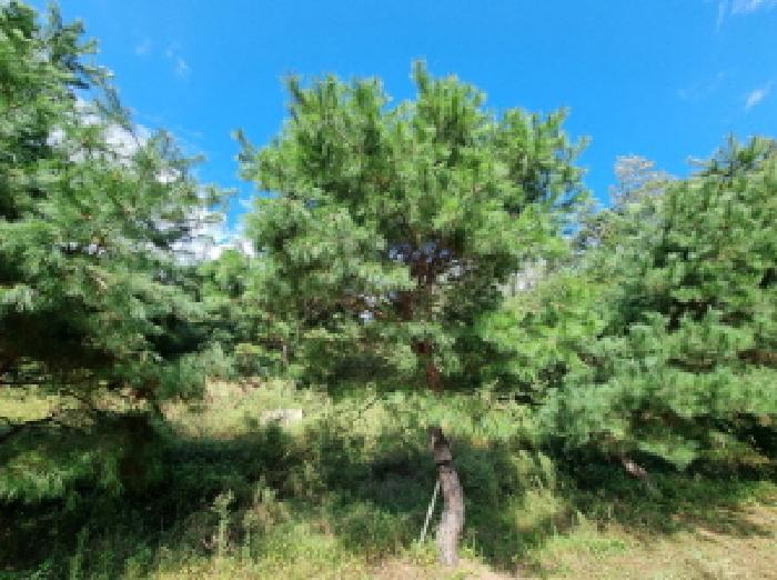 2025타경3841 법원경매 사진33 | 대전 동구 상가 경매