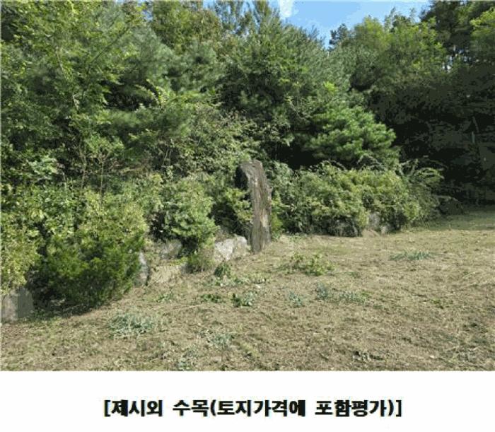2025타경3841 법원경매 사진6 | 대전 동구 상가 경매