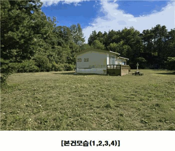 2025타경3841 법원경매 사진7 | 대전 동구 상가 경매