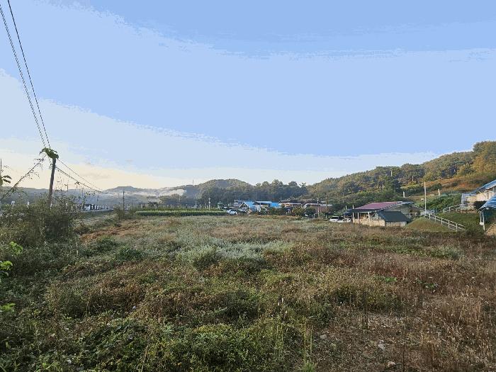 법원경매 2025타경3889 사진2 | 세종 금남면 달전리 316-8 답 경매