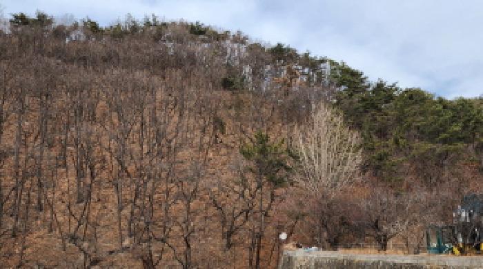 울산광역시 울주군 웅촌면 대복리 31-32 법원경매 물건 대표사진