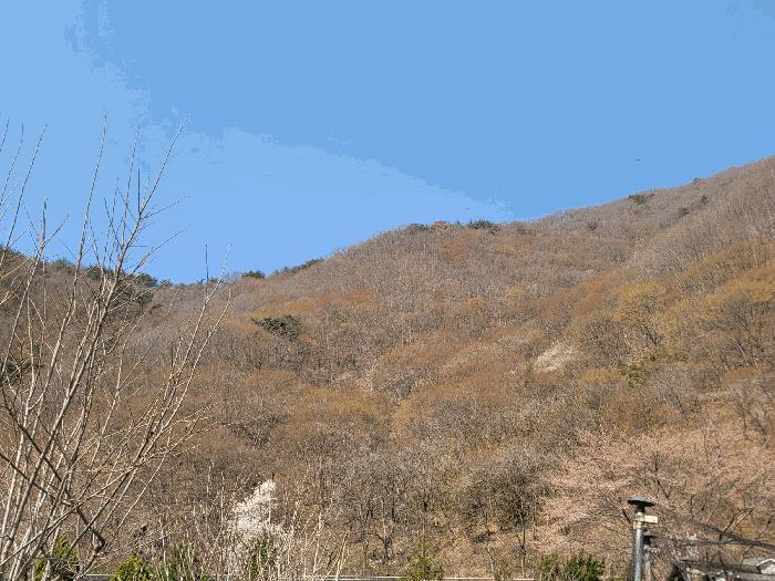 경상남도 양산시 원동면 선리 839 법원경매 물건 대표사진