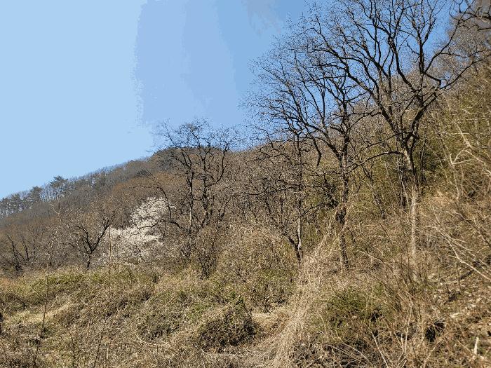 2025타경994 법원경매 사진4 | 경남 양산시 전답 경매