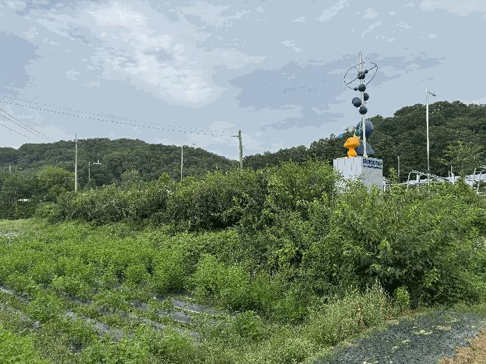 대전광역시 유성구 안산동 333-4 법원경매 물건 대표사진