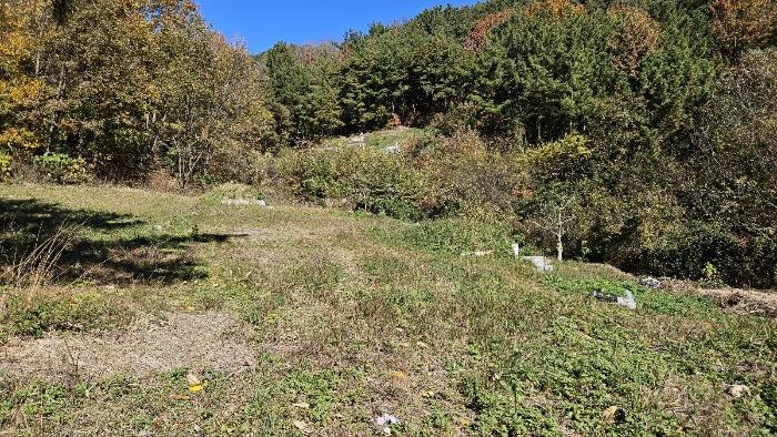 경남 의령군 지정면 두곡리 345-2 전 사진 2