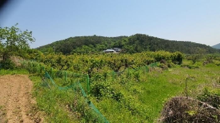 2025타경211 법원경매 사진10 | 창원 마산합포구 전 경매