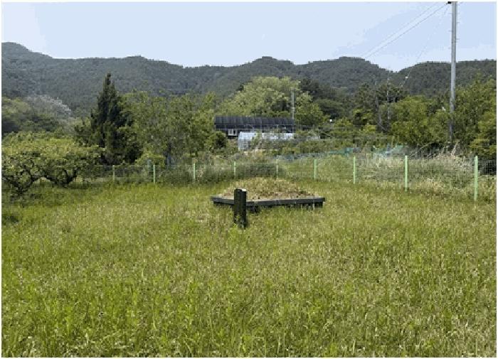 2025타경211 법원경매 사진4 | 창원 마산합포구 전 경매