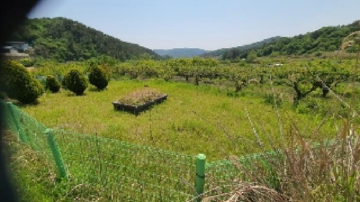 2025타경211 법원경매 사진8 | 창원 마산합포구 전 경매