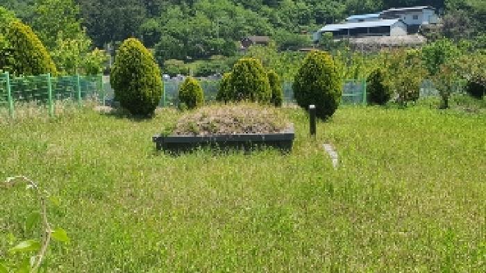 2025타경211 법원경매 사진9 | 창원 마산합포구 전 경매