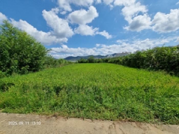 2025타경12060 법원경매 사진3 | 창원 의창구 답 경매