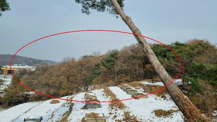 법원경매 2024타경98975 사진7 | 화성시 서신면 궁평리 임야 경매