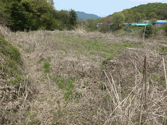 2025타경72168 법원경매 사진2 | 경기 동두천시 임야 경매