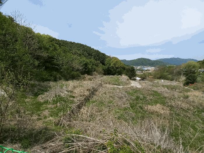 2025타경72168 법원경매 사진8 | 경기 동두천시 임야 경매