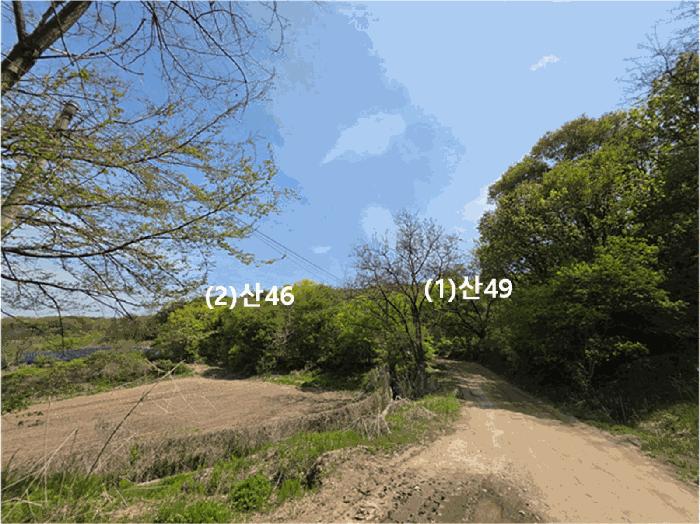 법원경매 2025타경72173 사진10 | 연천군 전곡읍 늘목리 임야 경매