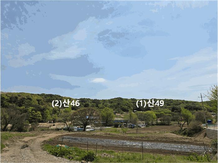 법원경매 2025타경72173 사진13 | 연천군 전곡읍 늘목리 임야 경매