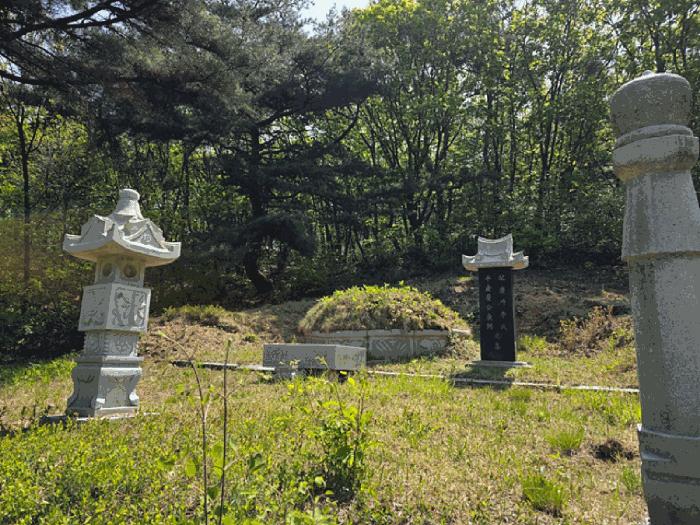 법원경매 2025타경72173 사진2 | 연천군 전곡읍 늘목리 임야 경매