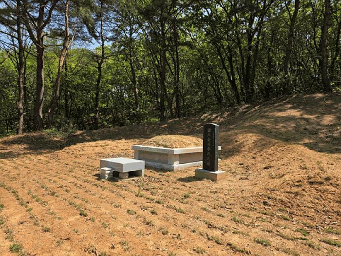 법원경매 2025타경72173 사진6 | 연천군 전곡읍 늘목리 임야 경매