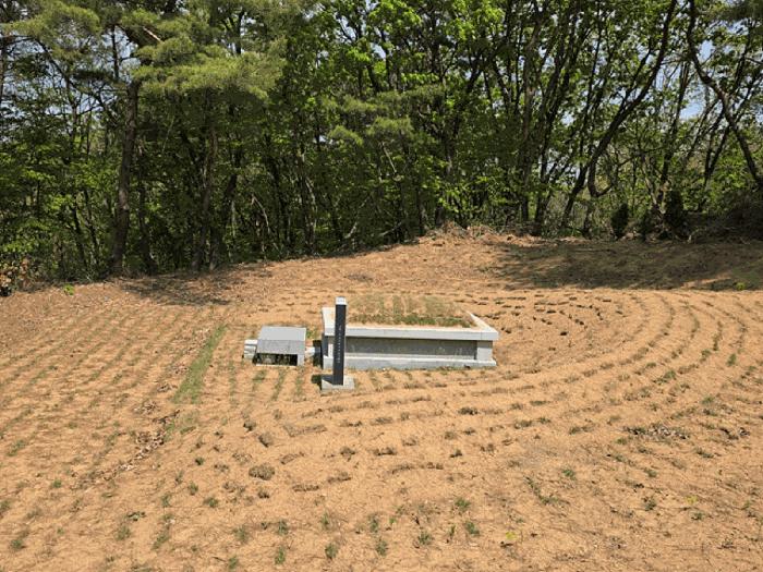 법원경매 2025타경72173 사진9 | 연천군 전곡읍 늘목리 임야 경매