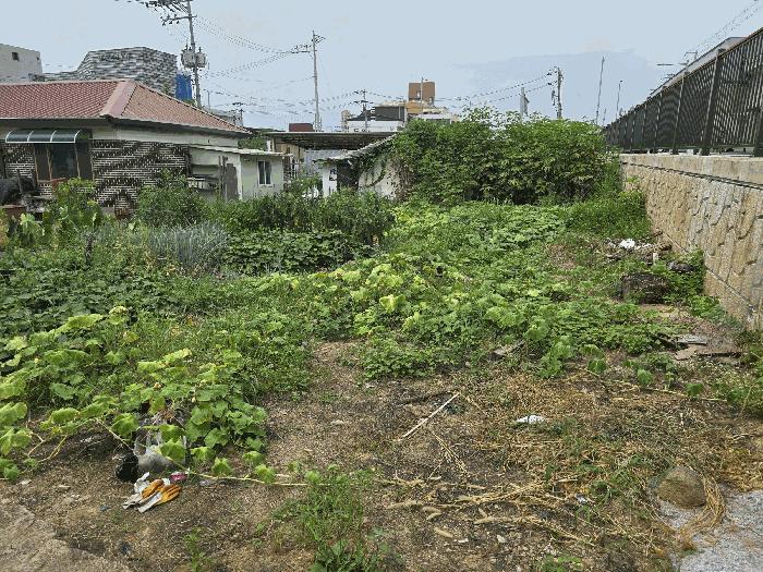 법원경매 2025타경72835 사진4 | 연천군 전곡읍 전곡리 452-5 대지 경매