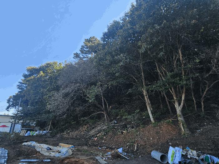 법원경매 2025타경64337 사진2 | 파주시 법원읍 대능리 임야 경매