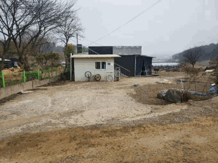 법원경매 2025타경51969 사진5 | 안산시 단원구 대부남동 349 주택건물 경매