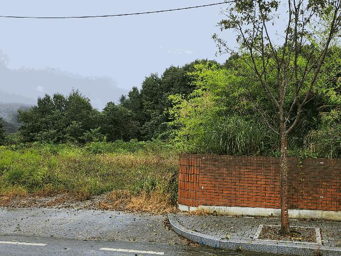 2025타경1165 법원경매 사진4 | 충남 예산군 대지 경매