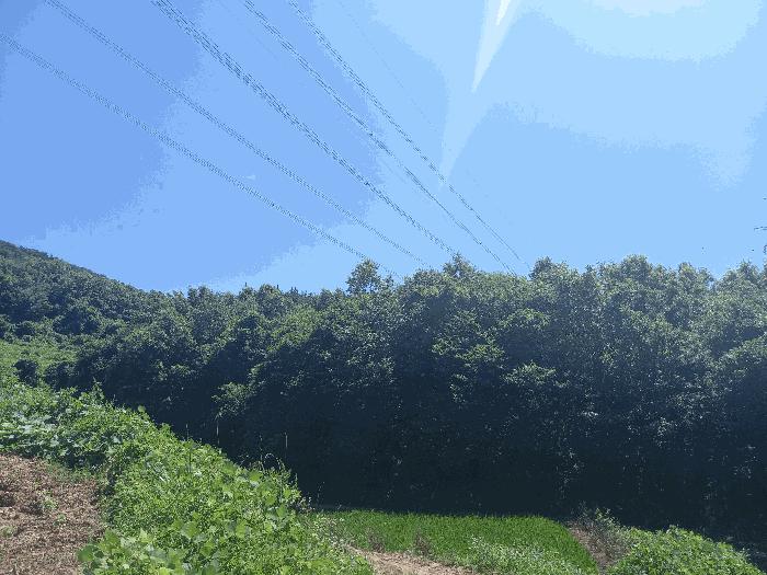 2025타경15816 법원경매 사진5 | 충남 보령시 전 경매