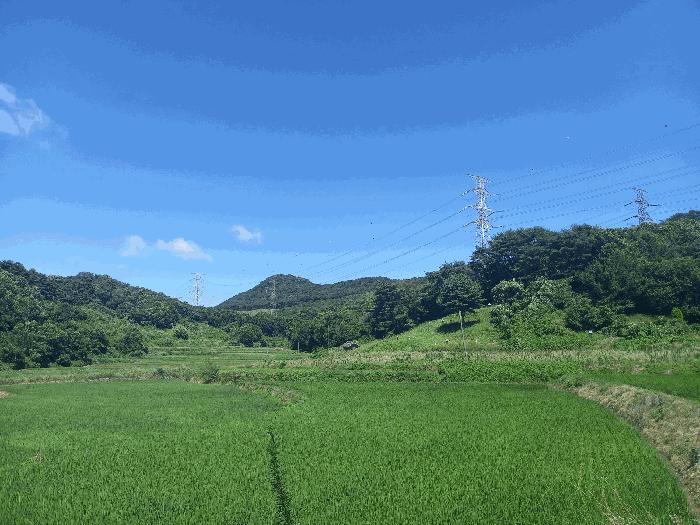 2025타경15816 법원경매 사진6 | 충남 보령시 전 경매