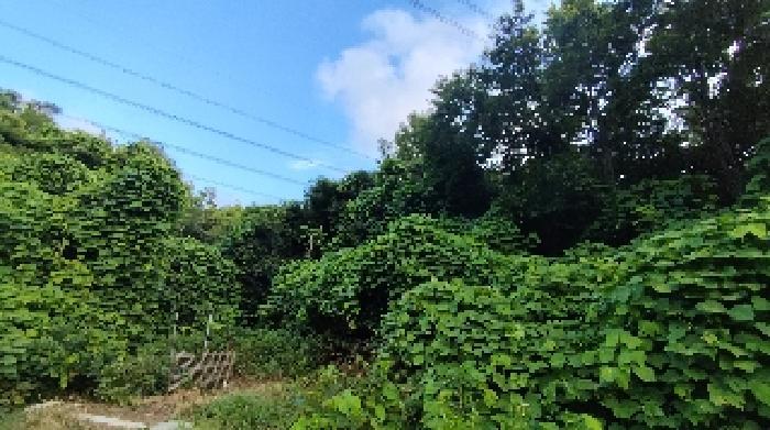 2025타경15816 법원경매 사진7 | 충남 보령시 전 경매