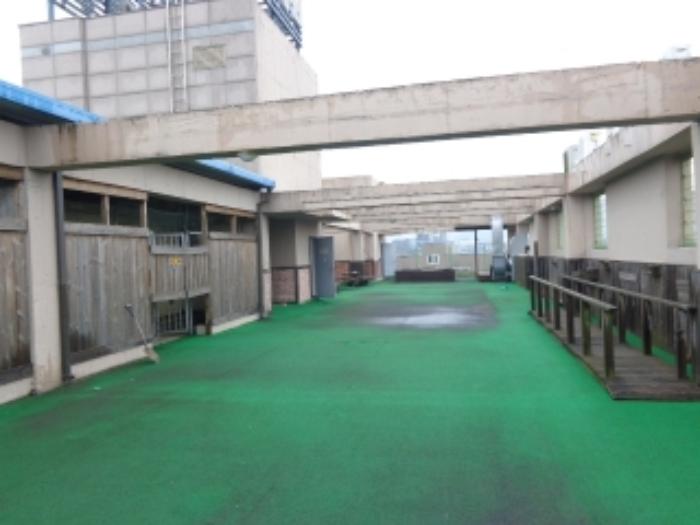 2023타경57638 법원경매 사진49 | 충남 태안군 병원 경매
