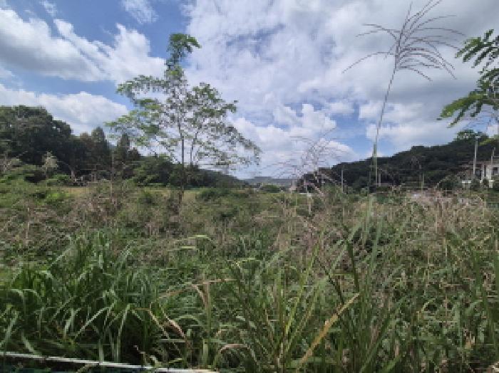 법원경매 2025타경503459 사진28 | 금남면 도남리 9 답 경매