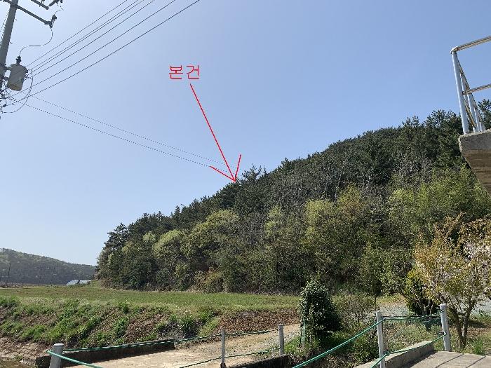 2024타경462 법원경매 사진2 | 충남 태안군 임야 경매