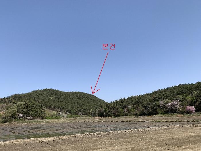 2024타경462 법원경매 사진3 | 충남 태안군 임야 경매