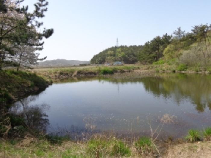 2024타경462 법원경매 사진7 | 충남 태안군 임야 경매