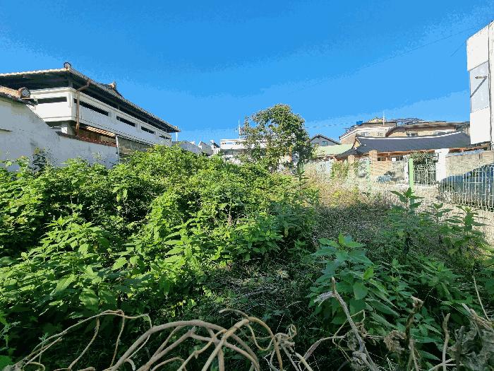 2025타경503548 법원경매 사진2 | 충남 금산군 대지 경매