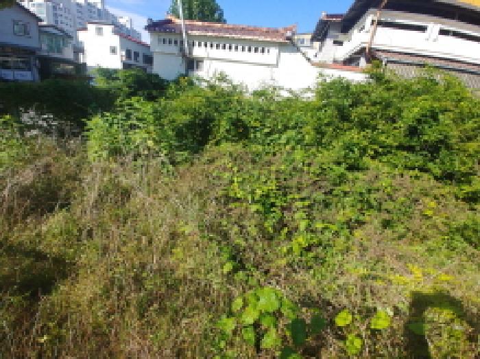 2025타경503548 법원경매 사진7 | 충남 금산군 대지 경매