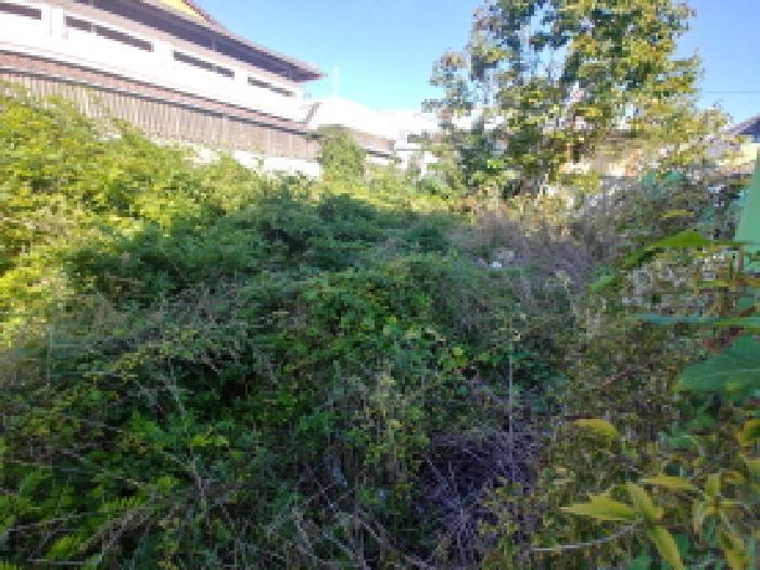 2025타경503548 법원경매 사진8 | 충남 금산군 대지 경매