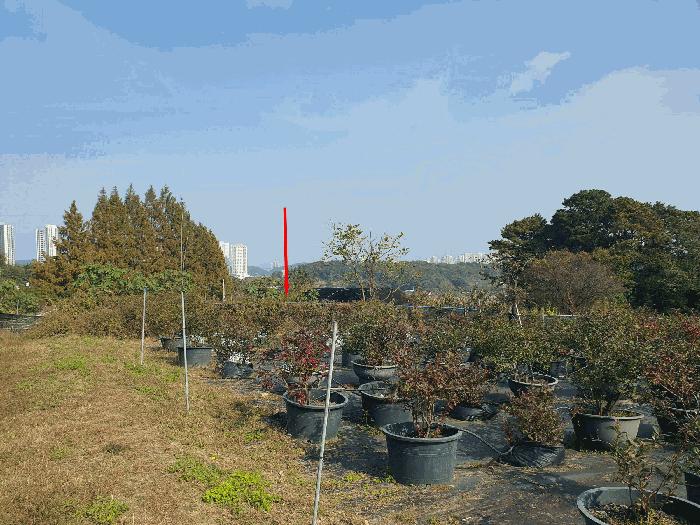 대전광역시 유성구 계산동 115-9 법원경매 물건 대표사진