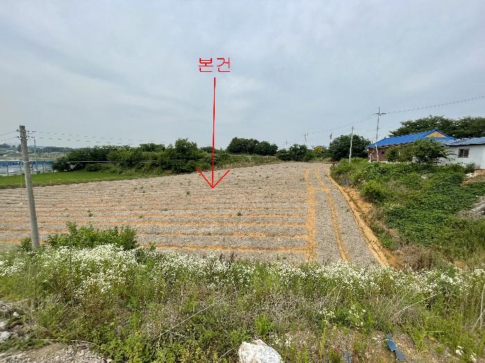 2024타경55271 법원경매 사진2 | 충남 당진시 임야 경매